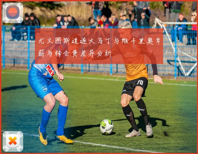 尤文图斯追逐大马丁与维卡里奥年薪与转会费差异分析